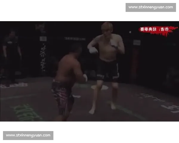 沙皇菲多对决崔洪万的力量技巧巅峰较量全景回顾经典之战格斗史震撼