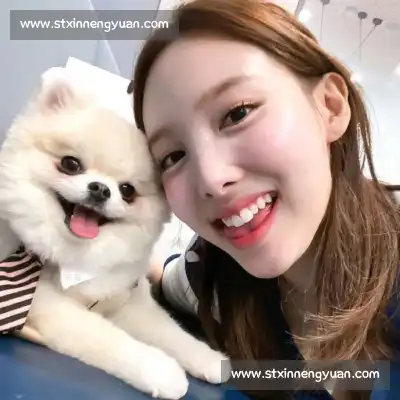 诸妮姗