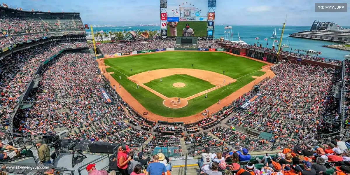 <strong>zoty中欧</strong>每一次挥拍 / 奔跑，都是对自己的超越！🎾